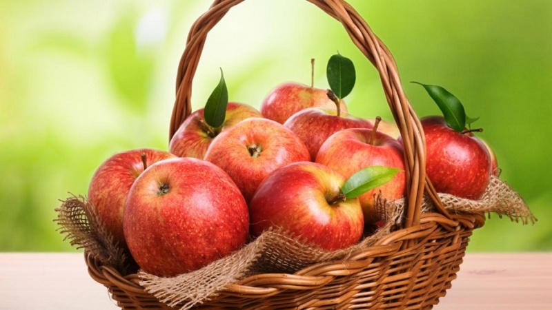 Кожура яблок – защищает от онкологических заболеваний