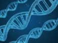 Влияние сознания на ДНК подтверждено экспериментально